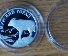 1 Rouble 2002 y. silver. Russia