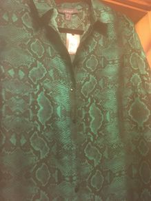 Green Blouse. New with Tags