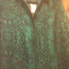 Green Blouse. New with Tags
