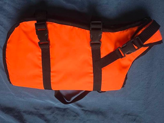 dog life jacket