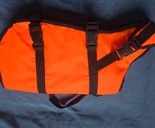 dog life jacket