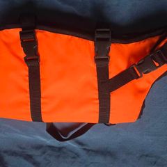 dog life jacket