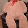 Extra large teddy bear Image 2
