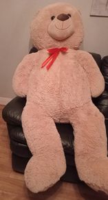 Large Teddy Bear