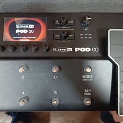 Line 6 Pod Go