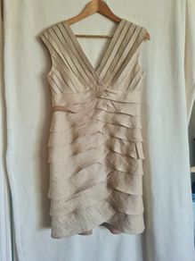 Adrianna Papell occasion dress