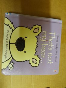 Children's book 'That's not my Bear'