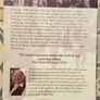 Witnesses: Inside The Easter Rising by Annie Ryan Image 3