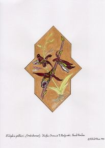 Print of Orchids in Arabic Design