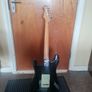 aria pro ii stg series strat Image 4