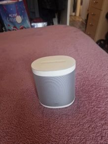 smart speaker