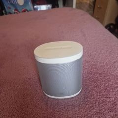 smart speaker