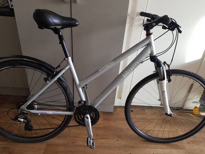 ladies bike( can deliver)