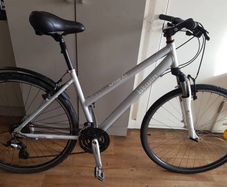 ladies bike( can deliver)