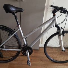 ladies bike( can deliver)