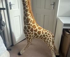 Giant Giraffe Soft Toy