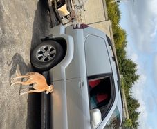 mobile power washer