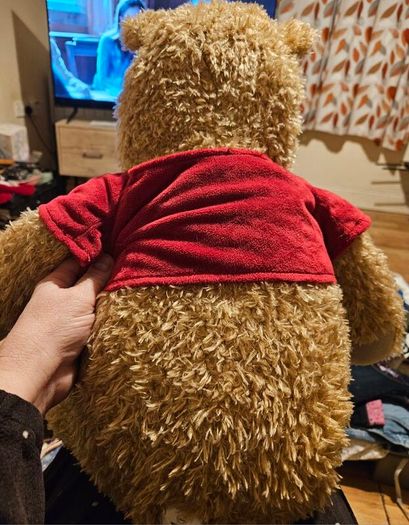 Large Winnie The Pooh Teddy