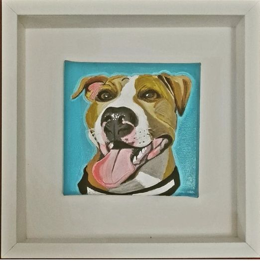 Pet Portraits