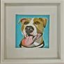 Pet Portraits Image 8