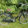 Ladies Rayleigh Elegance Bicycle Image 4