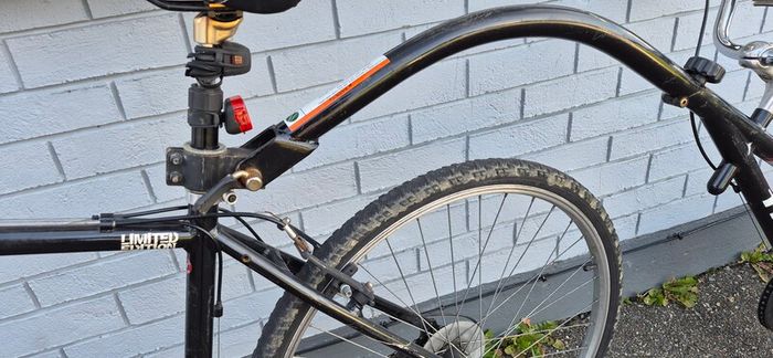 Tag along bike