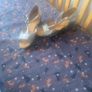 Shoes Image 2