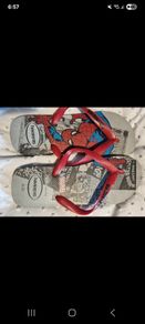 havaianas