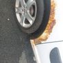 Fiat scudo swb campervan Image 10