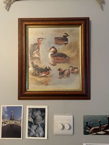 Duck print
