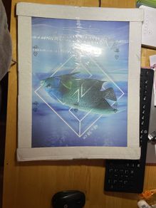 Plexi Clip Frame 40 x 50cm