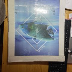 Plexi Clip Frame 40 x 50cm