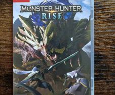 Monster Hunter Rise Nintendo Switch