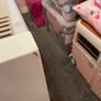 Tutti bambini rimini cot bed Image 7