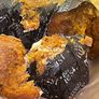 free food Image 3