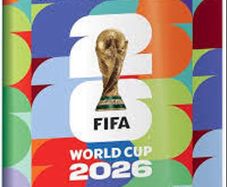 Panini World Cup Stickers