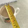 Vintage Crown Devon Fieldings York Minster West Front small milk jug / creamer Image 4