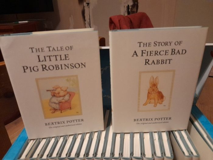 The world of Peter Rabbit book set