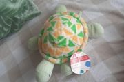 my first turtle