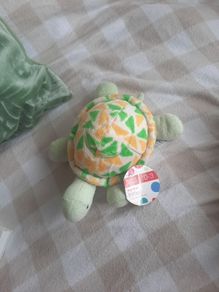my first turtle