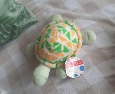 my first turtle