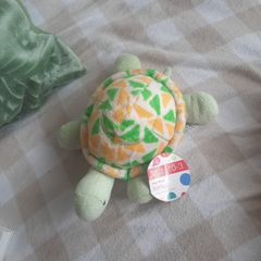 my first turtle