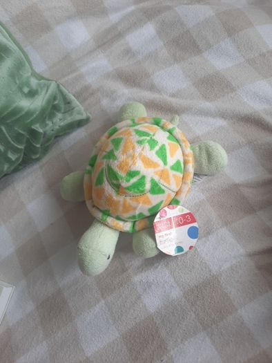 my first turtle