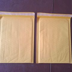 Padded Envelopes  (two For One Euro)