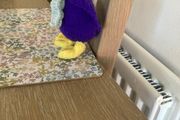 Silly duck