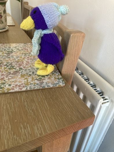 Silly duck