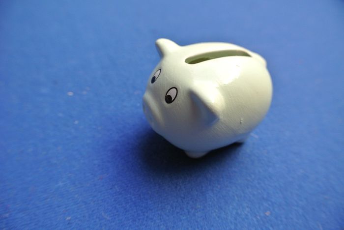 Little Porcelain Pig Money Box