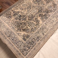 Premium Area Rug-Kathy Ireland Home by Nourison Only Used For 1 Month