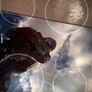 hob Image 4