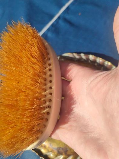 Victorian brass crumber and bone handled brush